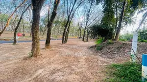 Homagama Beruketiya Land for Sale