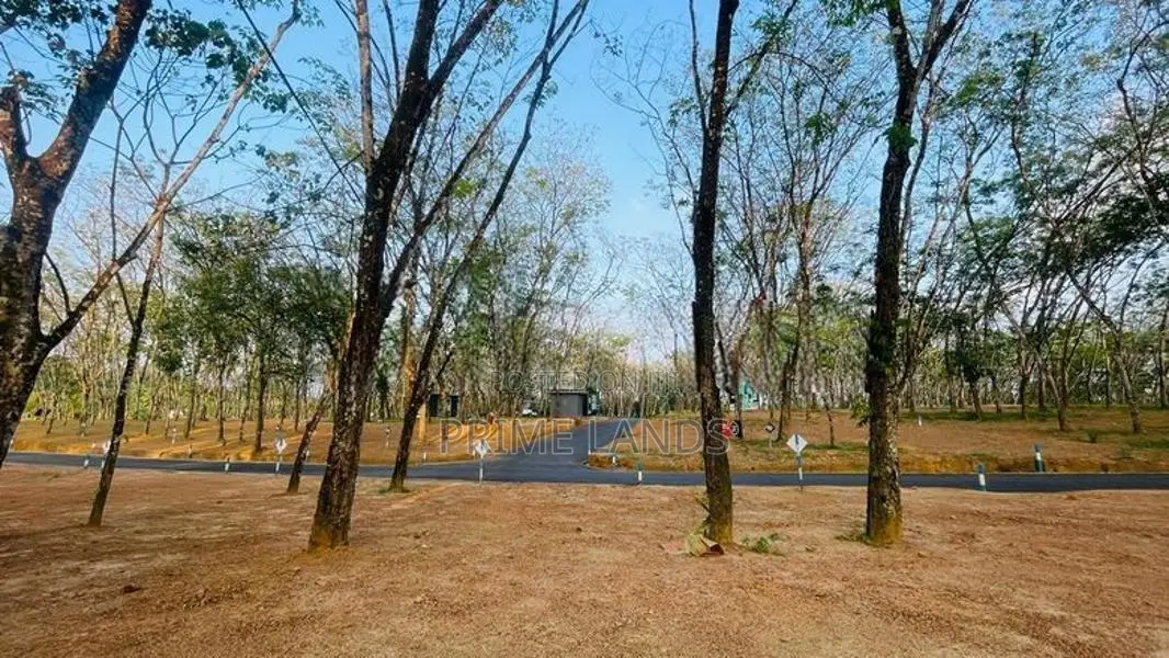 Homagama Beruketiya Land for Sale