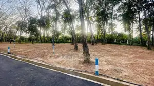 Homagama Beruketiya Land for Sale