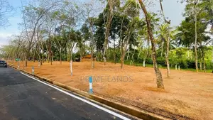 Moragahahena Beruketiya land for sale