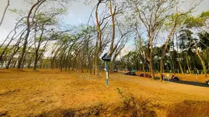 Moragahahena Beruketiya land for sale