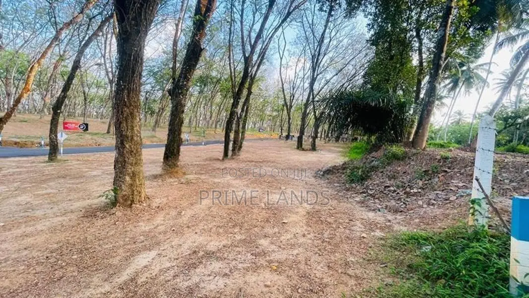 Homagama Beruketiya Land Plots for Sale