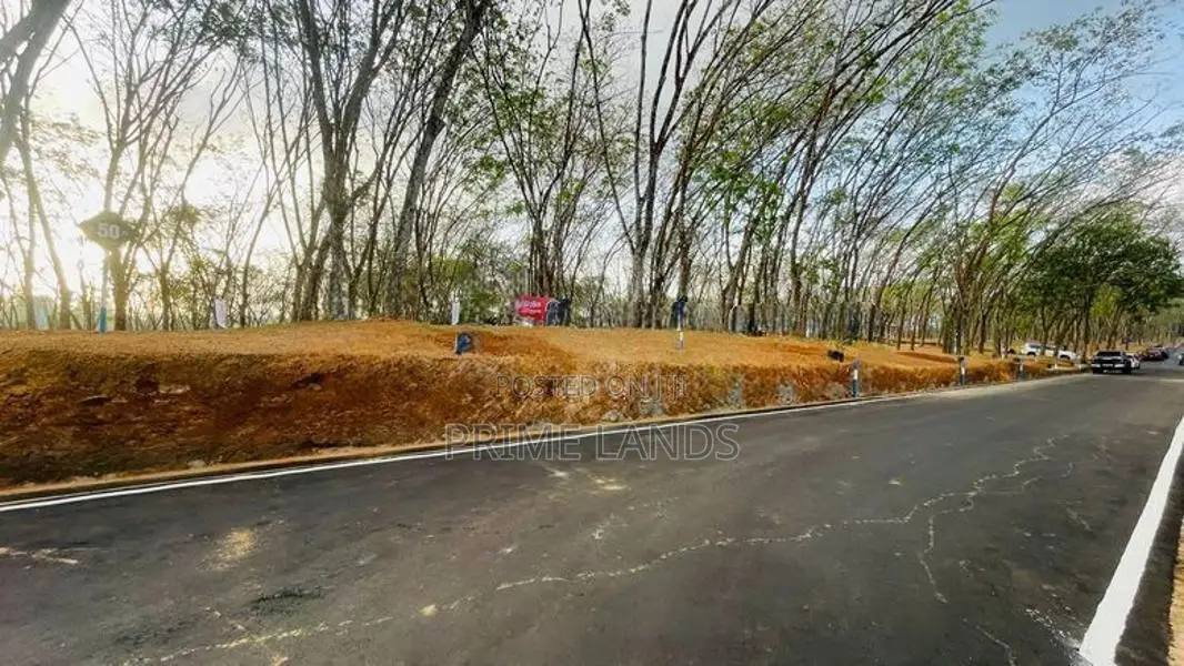 Homagama Thalagala Beruketiya Land Plots for Sale