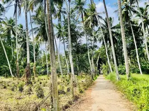 Land for Sale Minuwangoda