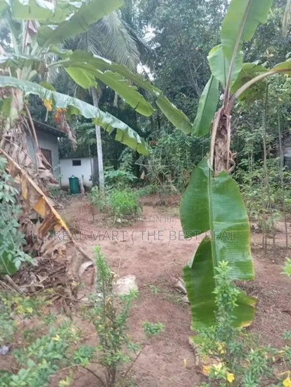 Aththanagalla : 15 perches Land for Sale at Walpola