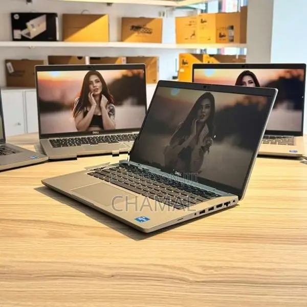 Dell Latitude 5420 Core i5 11th Gen\8GB RAM\256GB NVMe\ Type C