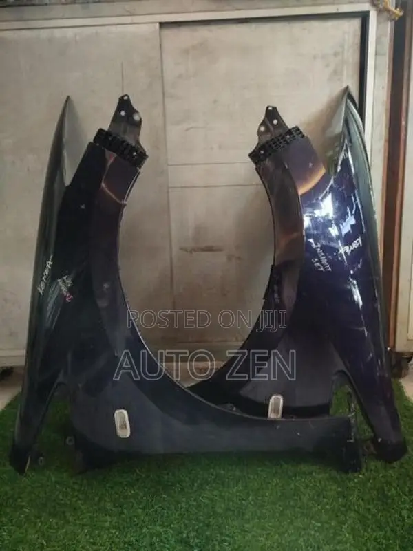 INSIGHT Fender