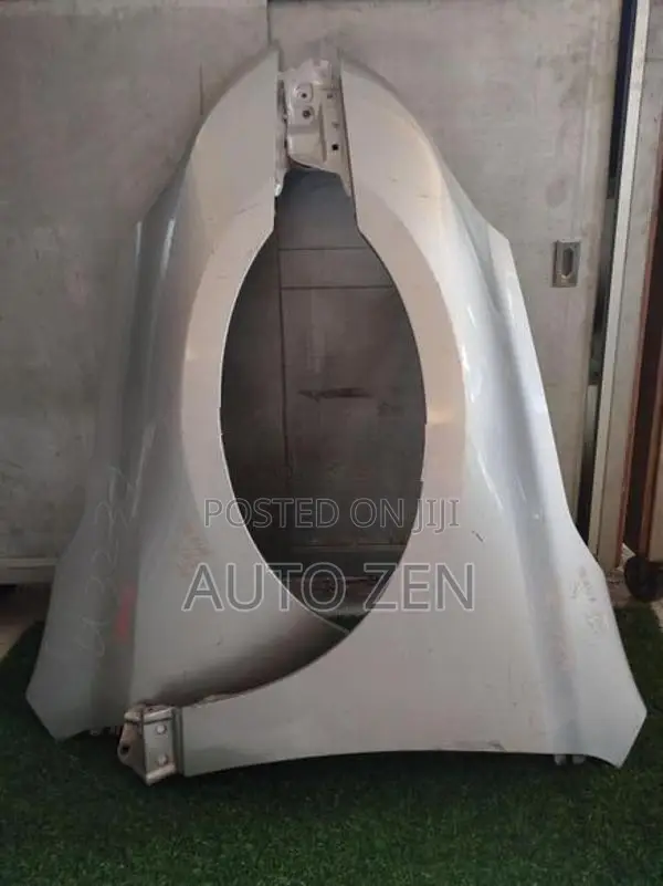 Teana J32 Fenders