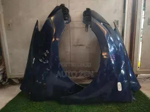 IST Fenders