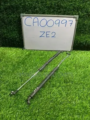 Honda Insight (ZE2) Dicky Door Shock