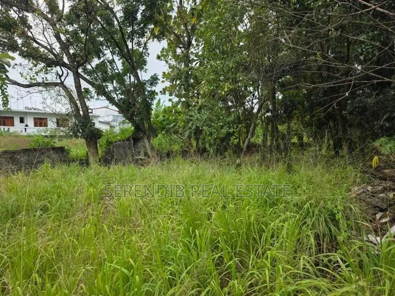 41 Perches Land Sale in Pepiliyana