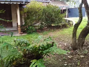 Mount Lavinia : 44.25 perches Land with Old House for Sale