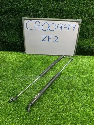 Honda Insight (ZE2) Dicky Door Shock