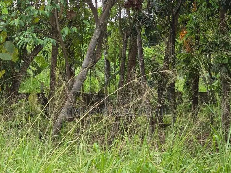 41 Perches Land Sale in Pepiliyana