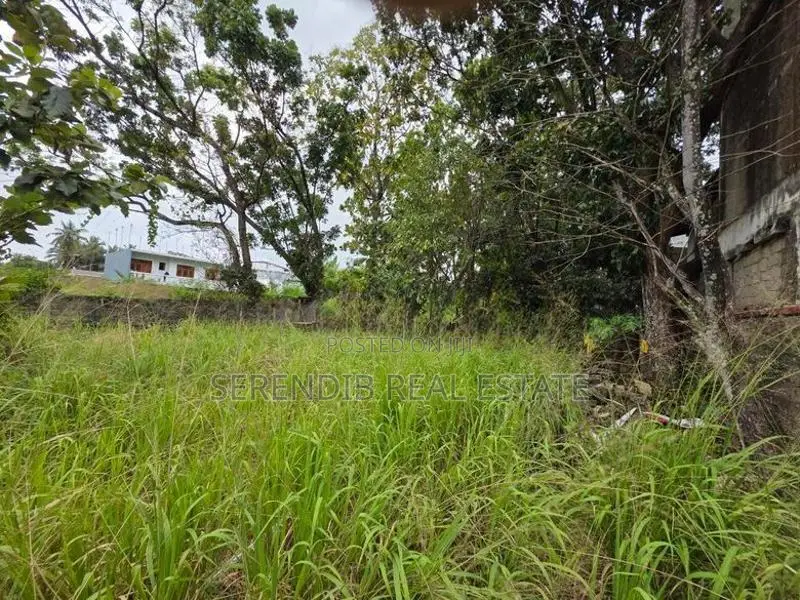 41 Perches Land Sale in Pepiliyana