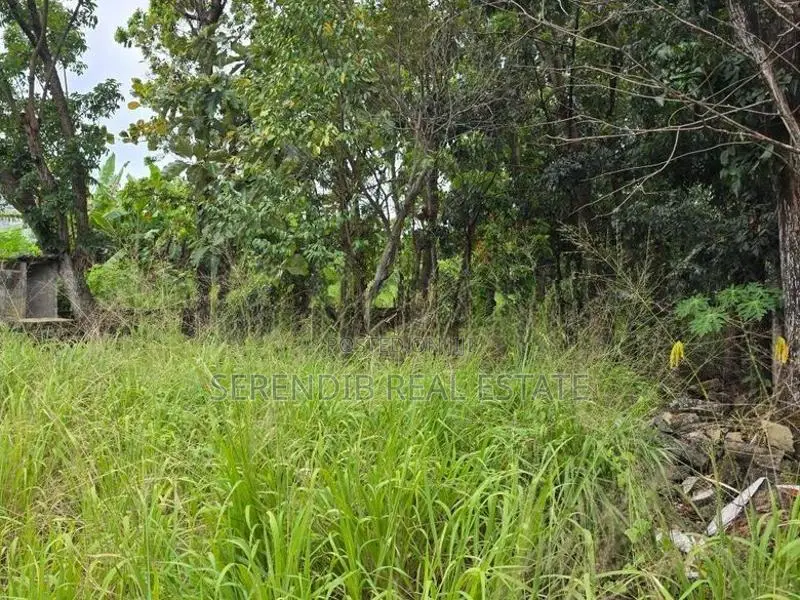 41 Perches Land Sale in Pepiliyana