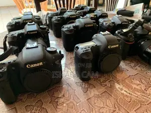canon DSLR body with lenses