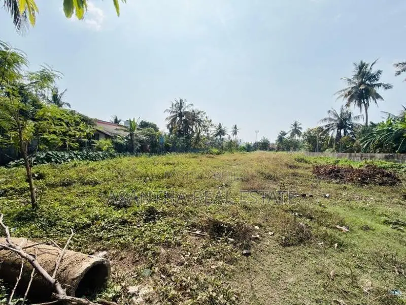 (AF640) 131 P LAND sale AT Panadura