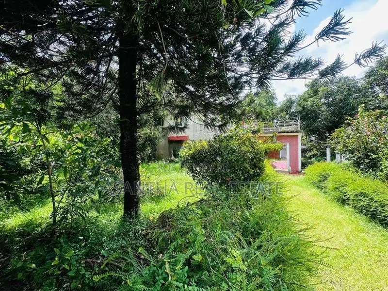 (AF636) 65 P Land Sale At 400 M welampitiya junction