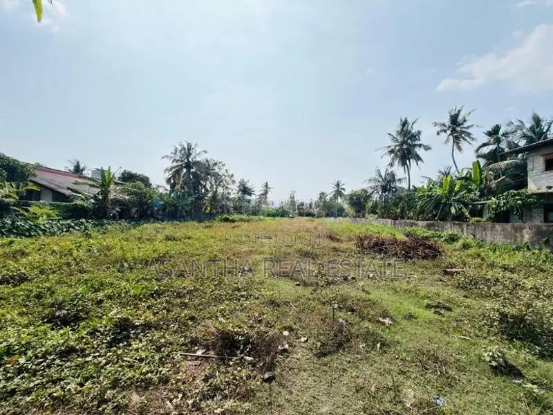 (AF640) 131 P LAND sale AT Panadura