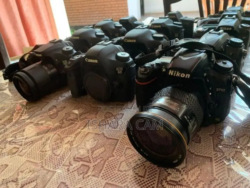 canon DSLR body with lenses