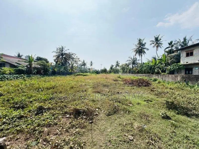 (AF640) 131 P LAND sale AT Panadura