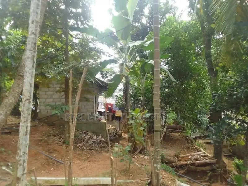 Warakapola : 80 perches Land with Three houses for Sale
