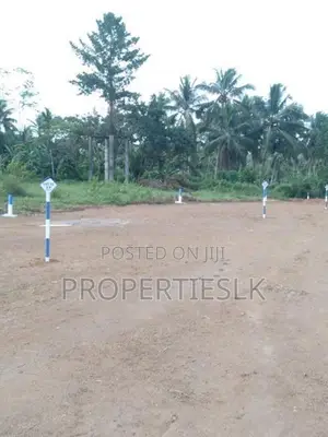 Homagama Prime Land 36.6 Perches For Sale