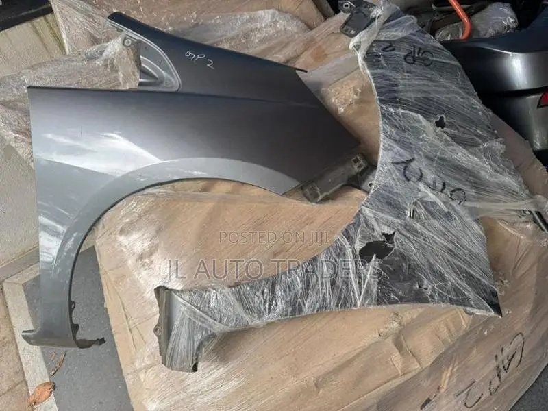 Honda Fit Shuttle GP2 Fender