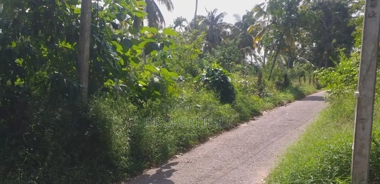 Dankotuwa Haldanduwana 60 Perches Land For Sale