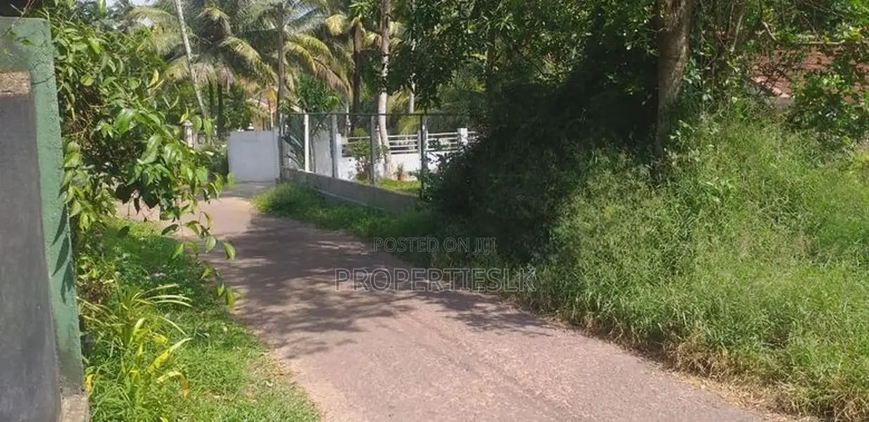 Dankotuwa Haldanduwana 60 Perches Land For Sale