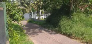 Dankotuwa Haldanduwana 60 Perches Land For Sale