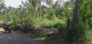 Dankotuwa Haldanduwana 60 Perches Land For Sale