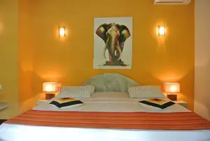 Narahenpita : 6 A/C BR fully furnished hotel for rent