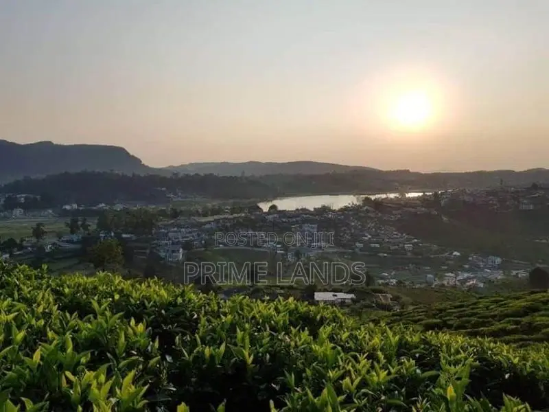 View Point Land for Sale Nuwara Eliya