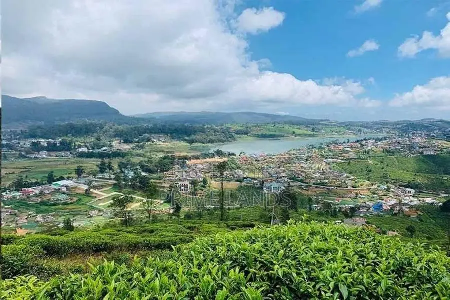 Valuable Land for Sale Nuwara Eliya Road