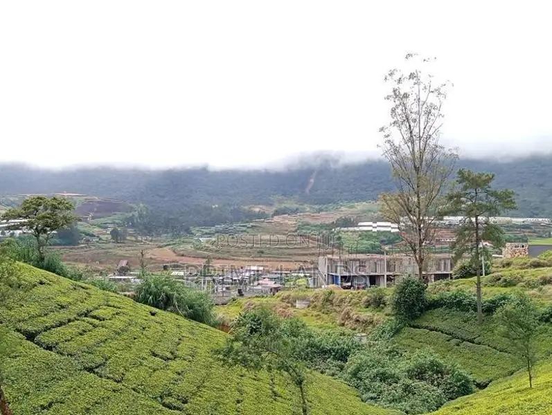 View Point Land for Sale Nuwara Eliya