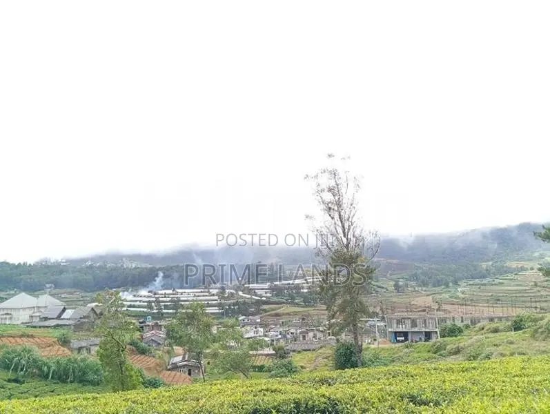 View Point Land for Sale Nuwara Eliya
