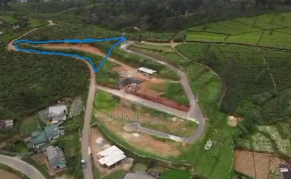 Valuable Land for Sale Nuwara Eliya Road