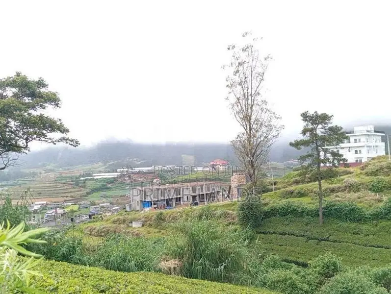 Valuable Land for Sale Nuwara Eliya