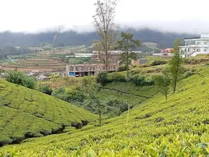 View Point Land for Sale Nuwara Eliya