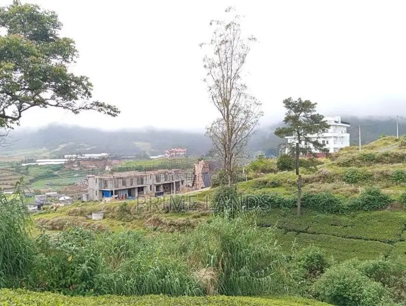 View Point Land for Sale Nuwara Eliya