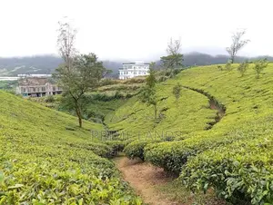 View Point Land for Sale Nuwara Eliya