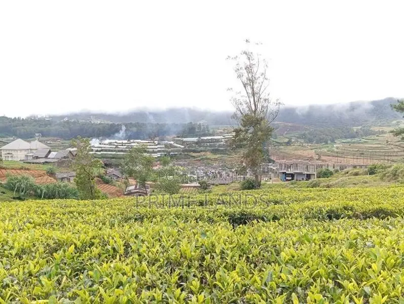 View Point Land for Sale Nuwara Eliya