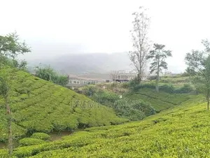 Valuable Land for Sale Nuwara Eliya