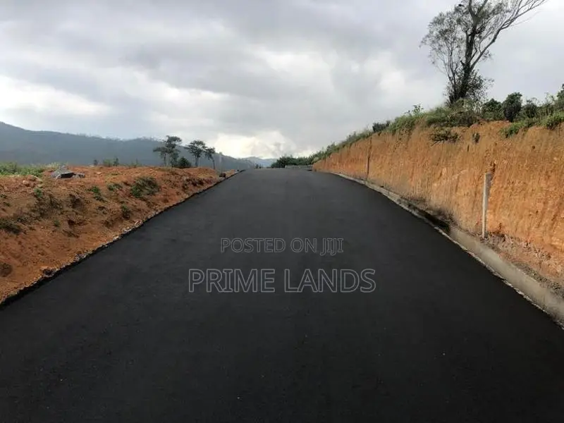 Valuable Land for Sale Nuwara Eliya Road