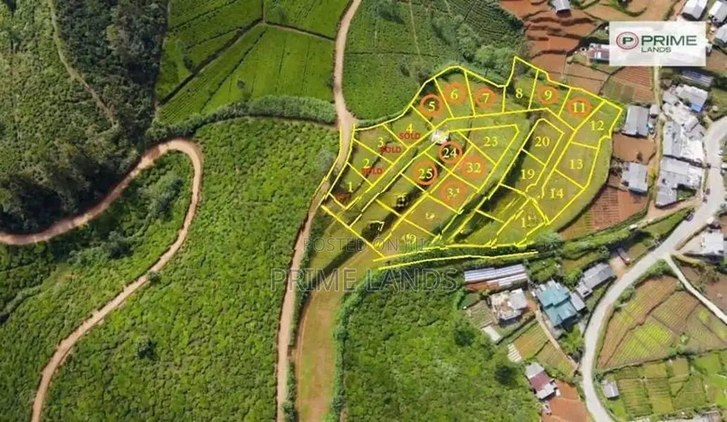 Valuable Land for Sale Nuwara Eliya Road