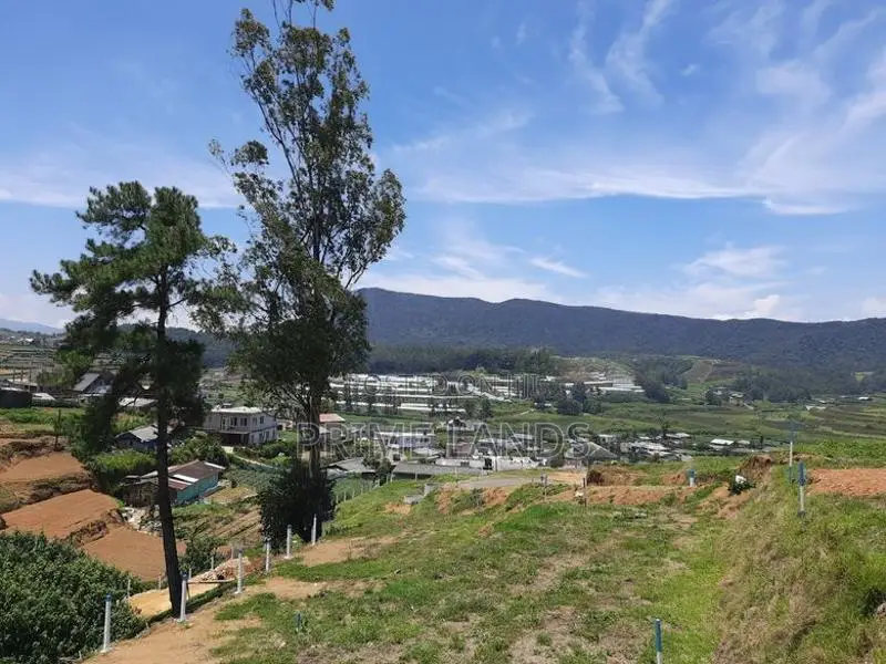 View Point Land for Sale Nuwara Eliya