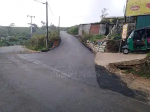 View Point Land for Sale Nuwara Eliya