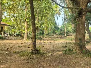 Land for Sale in Kurunegala